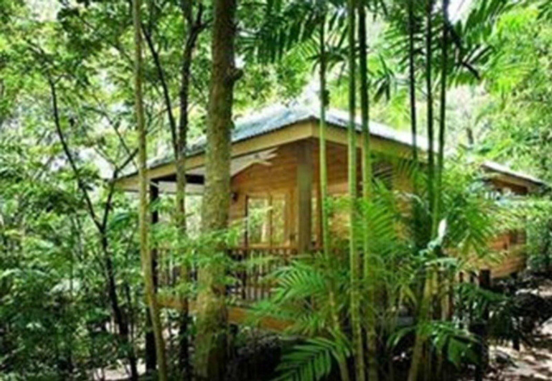 Thala Beach Nature Reserve Port Douglas Eksteriør bilde