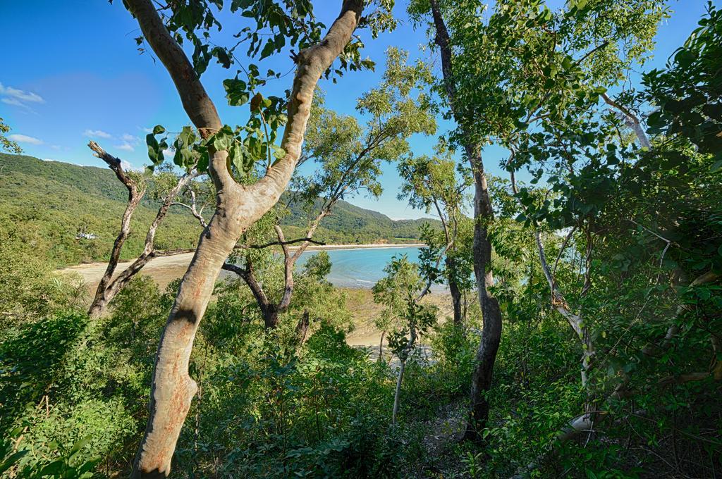 Thala Beach Nature Reserve Port Douglas Eksteriør bilde
