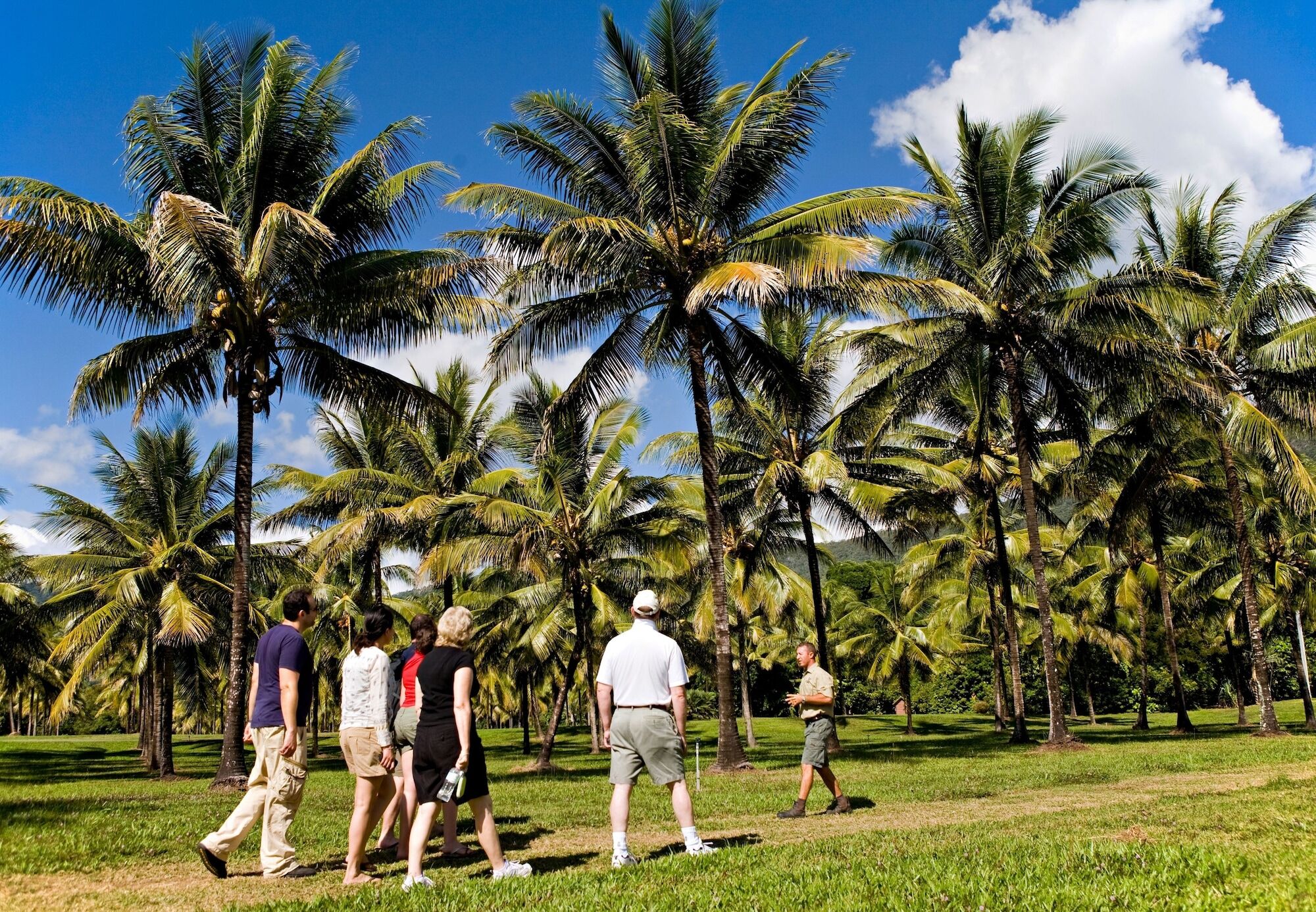 Thala Beach Nature Reserve Port Douglas Eksteriør bilde