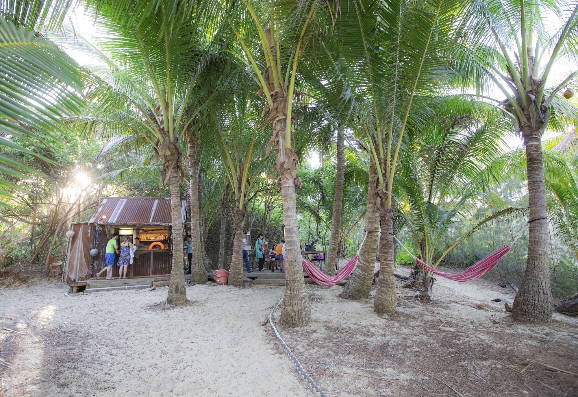 Thala Beach Nature Reserve Port Douglas Eksteriør bilde